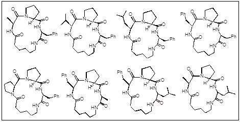 Cyclic Peptides