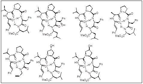 Cyclic Peptides