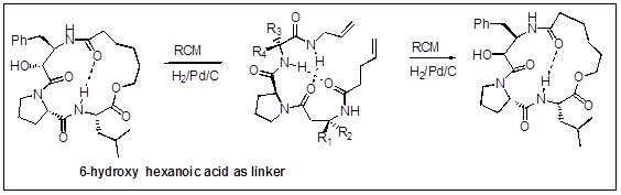 Cyclic Peptides