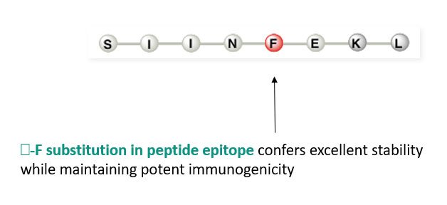 β-F substitution in peptide epitope