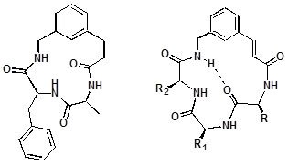 Palladium catalyzed synthesis