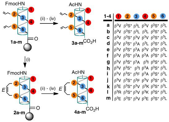 Synthesis of Anti-cancer