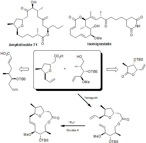 Synthesis of Anti-cancer